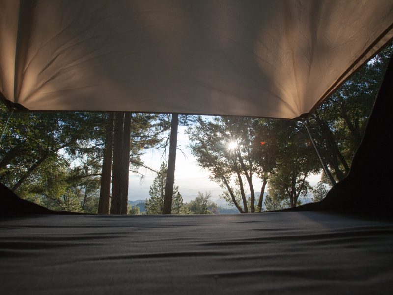 View looking out from inside a HITents rooftop tent at sunrise through the trees